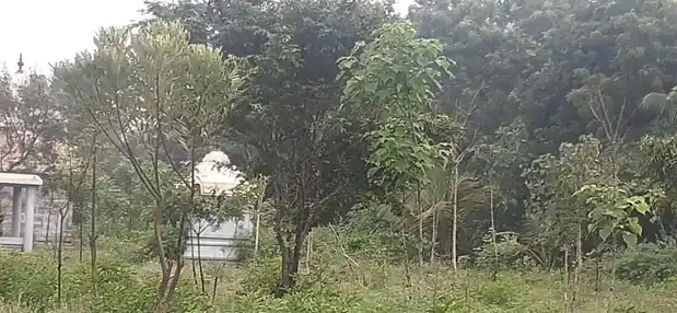 Arulmigu Varundheeswarar Temple, Varakadai - 609203 அருள்மிகு வருந்தீஸ்வரர் திருக்கோயில், Varakadai - 609203, Mayiladuthurai - Ancient Temple Architecture and History Image 3