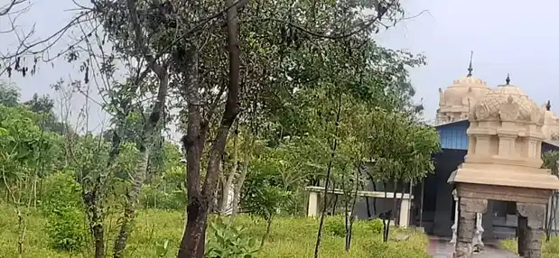 Arulmigu Varundheeswarar Temple, Varakadai - 609203 அருள்மிகு வருந்தீஸ்வரர் திருக்கோயில், Varakadai - 609203, Mayiladuthurai - Ancient Temple Architecture and History Image 4