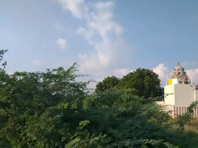 Arulmigu Vasantha Narayanaperumal Temple, Varavanai - 621301 அருள்மிகு வசந்த நாராயணப்பெருமாள் திருக்கோயில், Varavanai - 621301, Karur - Ancient Temple Architecture and History Image 2