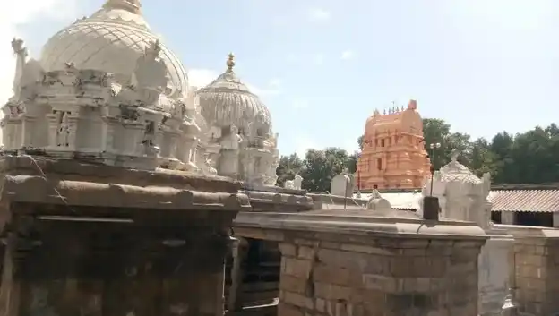 Arulmigu Vasisteshwarar Temple, Veppur - 632509 அருள்மிகு வசிஷ்டேஸ்வரர் திருக்கோயில், வேப்பூர் - 632509, Ranipet - Ancient Temple Architecture and History Image 3