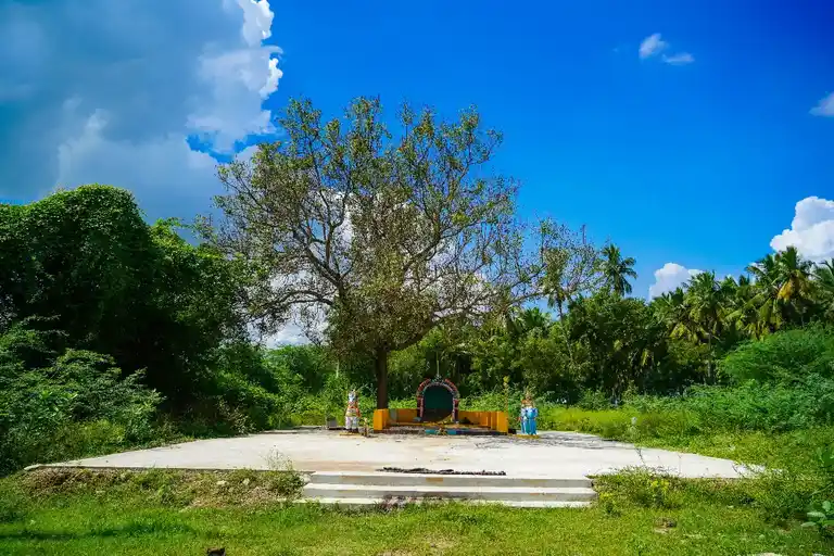 Arulmigu Vasisteshwarar Temple, Veppur - 632509 அருள்மிகு வசிஷ்டேஸ்வரர் திருக்கோயில், வேப்பூர் - 632509, Ranipet - Ancient Temple Architecture and History Image 5