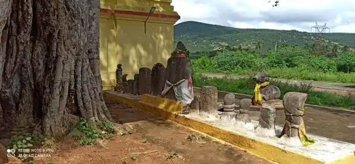 Arulmigu Vasthu Vinayagar Temple, V.Periyapatti - 621303