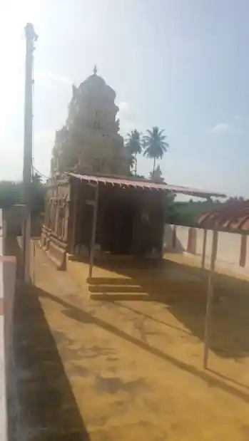 Arulmigu Vasudevaperumal Temple, Pethampalayam - 638116 அருள்மிகு வாசுதேவபெருமாள் திருக்கோயில், பெத்தாம்பாளையம் - 638116, Erode - Ancient Temple Architecture and History Image 5