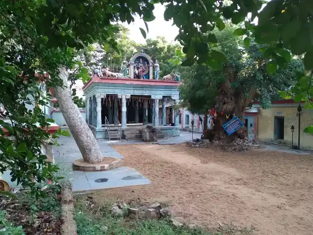 Arulmigu Vathalainachi Amman Temple, Kandamangalam - 613104 அருள்மிகு வாத்தலைநாச்சியம்மன் திருக்கோயில், Kandamangalam - 613104, Thanjavur - Ancient Temple Architecture and History Image 9