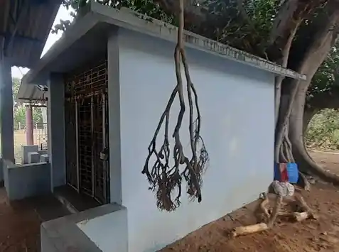 Arulmigu Vazh Muniswarar Temple, Thillaivilagam - 614706 அருள்மிகு வாழ்முனிஸ்வரர் திருக்கோயில், Thillaivilagam - 614706, Thiruvarur - Ancient Temple Architecture and History Image 2