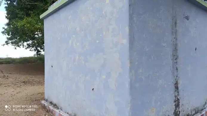 Arulmigu Vazhavanthamman Temple, Ellainayakkanpatti - 628601 அருள்மிகு வாழவந்தம்மன் திருக்கோயில், Ellainayakkanpatti - 628601, Thoothukudi - Ancient Temple Architecture and History Image 2