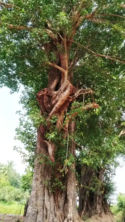 Arulmigu Vazhivettaikkaran Temple, Potraiyadi, Nagercoil - 629703 Temple