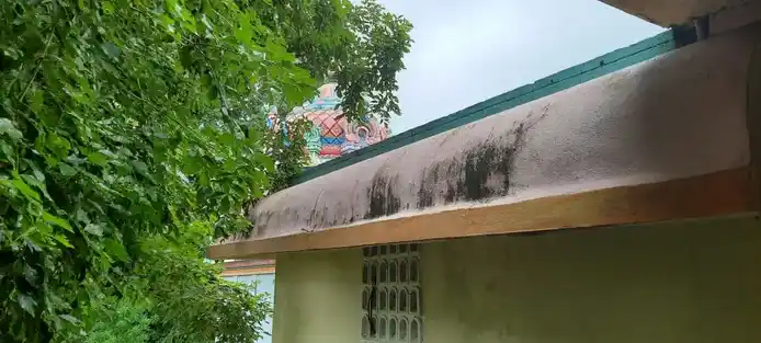 Arulmigu Vazhmunieswarar Temple, Vijayapuram - 610001 அருள்மிகு பது வாழ்முனீஸ்வரர் திருக்கோயில், Vijayapuram - 610001, Thiruvarur - Ancient Temple Architecture and History Image 6