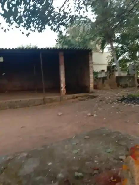 Arulmigu Veadiyappan Vinayakar Temple, Pe Thadampatti - 635201