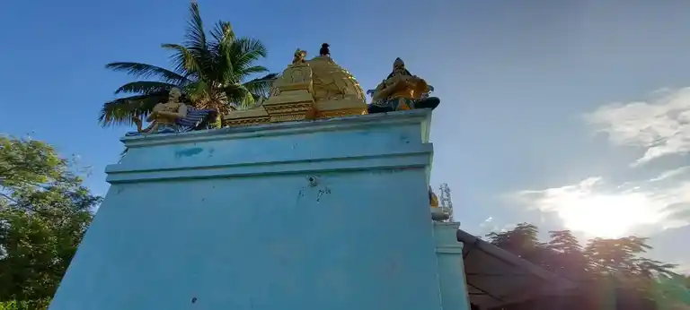 Arulmigu Veathanarayana Perumal Temple, Polipakkam - 632505 அருள்மிகு வேதநாராயணப் பெருமாள் திருக்கோயில், போலிப்பாக்கம் - 632505, Ranipet - Ancient Temple Architecture and History Image 3