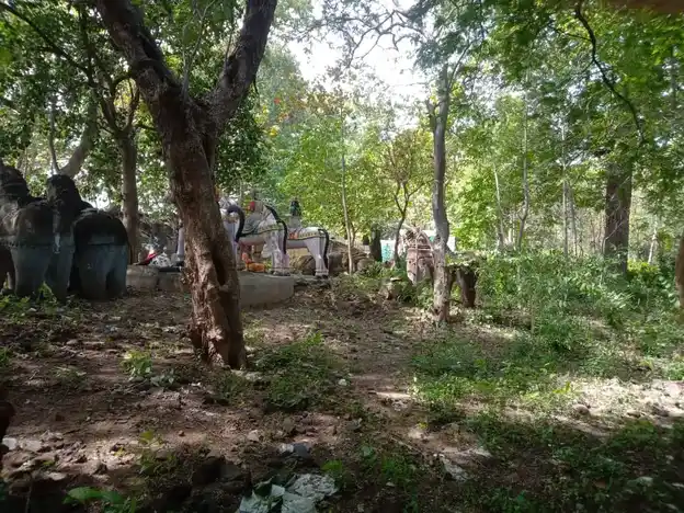 Arulmigu Vedappar Temple, Arasampattu - 606401 Temple