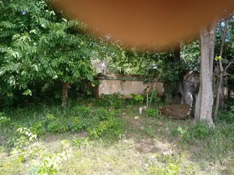 Arulmigu Vedappar Temple, Arasampattu - 606401 Arulmigu Vedappar Temple, Arasampattu - 606401, Kallakurichi - Ancient Temple Architecture and History Image 3