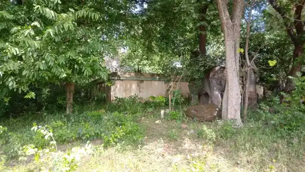 Arulmigu Vedappar Temple, Arasampattu - 606401 Arulmigu Vedappar Temple, Arasampattu - 606401, Kallakurichi - Ancient Temple Architecture and History Image 4