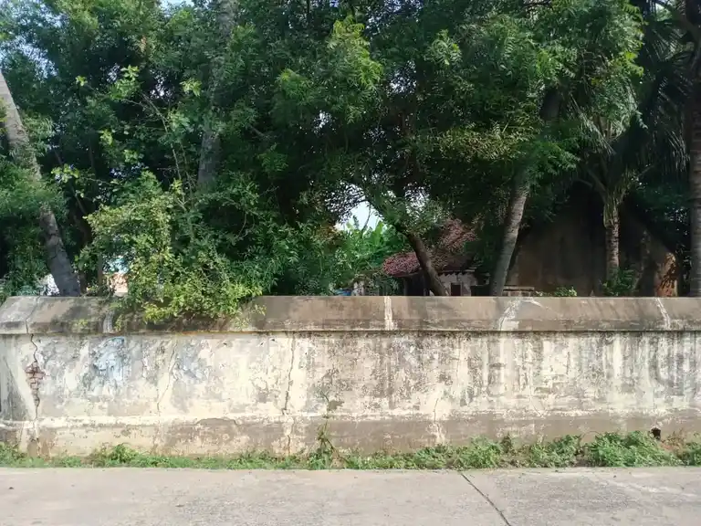 Arulmigu Vedavinayagar Temple, Keelazhinjipattu - 607402 அருள்மிகு வேதவிநாயகர் திருக்கோயில், Keelazhinjipattu - 607402, Cuddalore - Ancient Temple Architecture and History Image 5
