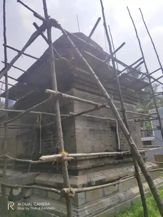 Arulmigu Vedhanarayana Perumal Temple, Elleri - 608303 அருள்மிகு வேதநாராயப்பெருமாள் திருக்கோயில், Elleri - 608303, Cuddalore - Ancient Temple Architecture and History Image 8