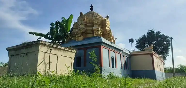 Arulmigu Vedhanarayanaperumal Temple, Kilianagar - 603306