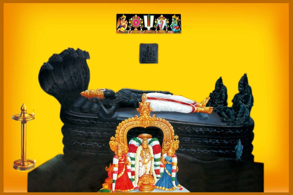 அருள்மிகு வேதநாராயணப்பெருமாள் திருக்கோயில், திருநாராயணபுரம், திருநாராயணபுரம் - 621203 - Main View