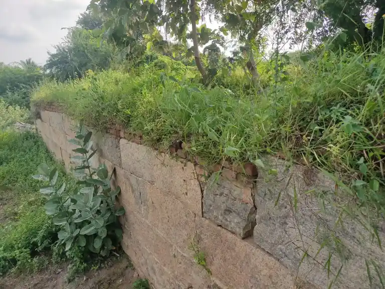 Arulmigu Vedhanayageeswarar Temple, Melapazhangur - 605751 அருள்மிகு வேதநாயகீஸ்வரர் திருக்கோயில், Melapazhangur - 605751, Kallakurichi - Ancient Temple Architecture and History Image 3