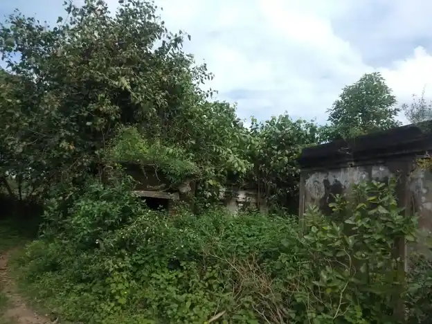 Arulmigu Vedhanayagi Amman Samedha Kundheeswarar Temple, Dharmapuram - 603312 அருள்மிகு வேதநாயகியம்மன் சமேத குந்திஸ்வரர் திருக்கோயில், Dharmapuram - 603312, Chengalpattu - Ancient Temple Architecture and History Image 4