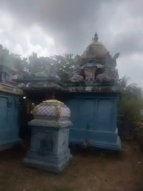 Arulmigu Vedhapureeswarar Temple, Velliankudi - 608701 அருள்மிகு வேதபுரீஸ்வரர் திருக்கோயில், Velliankudi - 608701, Cuddalore - Ancient Temple Architecture and History Image 4