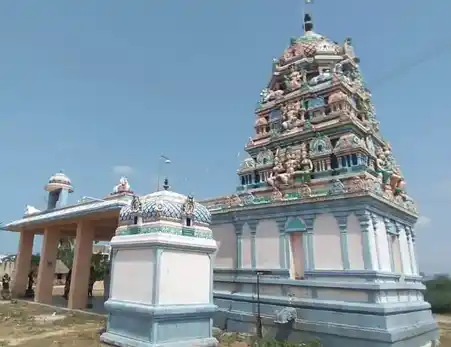 Arulmigu Vedhapuriswarar And Varatharajapuremal Temple, Kallimedu East, Kallimedu East - 614809 அருள்மிகு வேதபுரீஸ்வரர், வரதராஜ பெருமாள் திருக்கோயில், கள்ளிமேடு கிழக்கு - 614809, Nagapattinam - Ancient Temple Architecture and History Image 4
