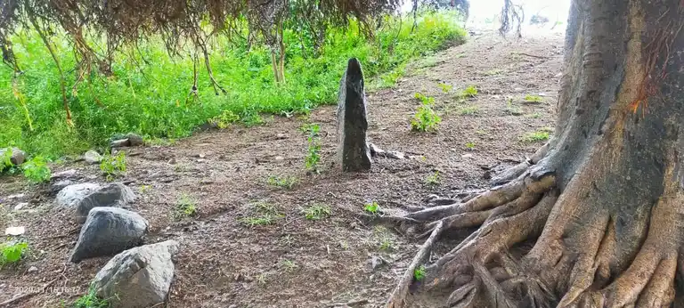 Arulmigu Vediyappan Pillaiyar Temple, Kottaiyur - 606707 அருள்மிகு வேடியப்பன் பிள்ளையார் திருக்கோயில், Kottaiyur - 606707, Tiruvannamalai - Ancient Temple Architecture and History Image 5