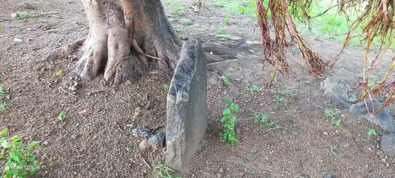 Arulmigu Vediyappan Pillaiyar Temple, Kottaiyur - 606707 அருள்மிகு வேடியப்பன் பிள்ளையார் திருக்கோயில், Kottaiyur - 606707, Tiruvannamalai - Ancient Temple Architecture and History Image 7