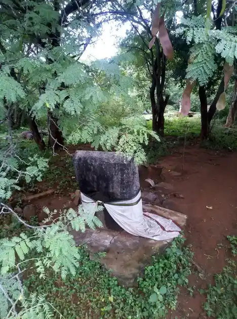 Arulmigu Vediyappan Temple, Beemanandal Pudur - 606704 அருள்மிகு வேடியப்பன் திருக்கோயில், Beemanandal Pudur - 606704, Tiruvannamalai - Ancient Temple Architecture and History Image 3
