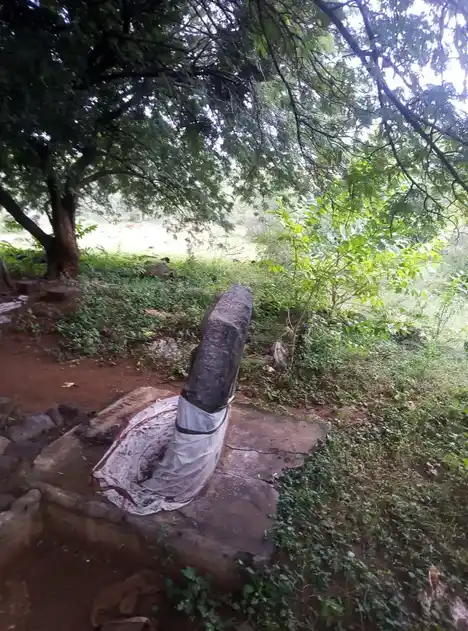 Arulmigu Vediyappan Temple, Beemanandal Pudur - 606704 அருள்மிகு வேடியப்பன் திருக்கோயில், Beemanandal Pudur - 606704, Tiruvannamalai - Ancient Temple Architecture and History Image 4