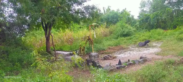 Arulmigu Vediyappan Temple, Kungalinatham - 606707 அருள்மிகு வேடியப்பன் திருக்கோயில், Kungalinatham - 606707, Tiruvannamalai - Ancient Temple Architecture and History Image 2