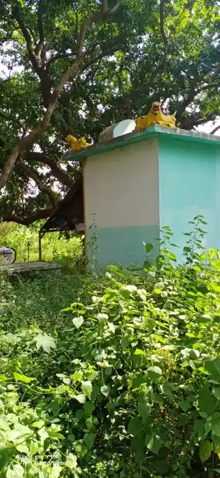 Arulmigu Vediyappan Temple, Narasampatti - 636804 Temple