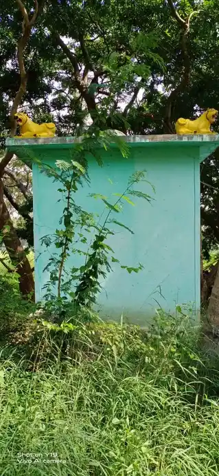 Arulmigu Vediyappan Temple, Narasampatti - 636804 அருள்மிகு வேடியப்பன் திருக்கோயில், Narasampatti - 636804, Krishnagiri - Ancient Temple Architecture and History Image 2