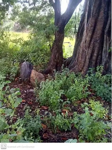 Arulmigu Vediyappan Temple, Thandrampattu - 606707