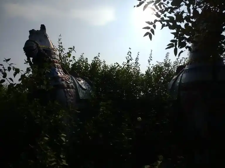 Arulmigu Vediyappar Temple, Sowdekuppam - 635653 அருள்மிகு வேடியப்பர் திருக்கோயில், சௌடேகுப்பம் - 635653, Thirupathur - Ancient Temple Architecture and History Image 3