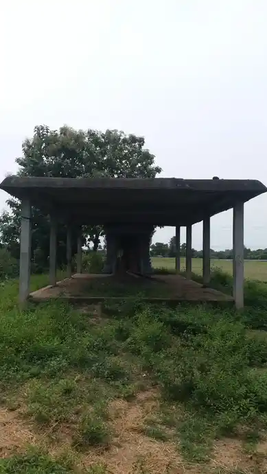Arulmigu Veenugopalaswamy Temple, Periyababusamuthiram - 605102 அருள்மிகு வேணுகோபாலசுவாமி திருக்கோயில், Periyababusamuthiram - 605102, Viluppuram - Ancient Temple Architecture and History Image 2
