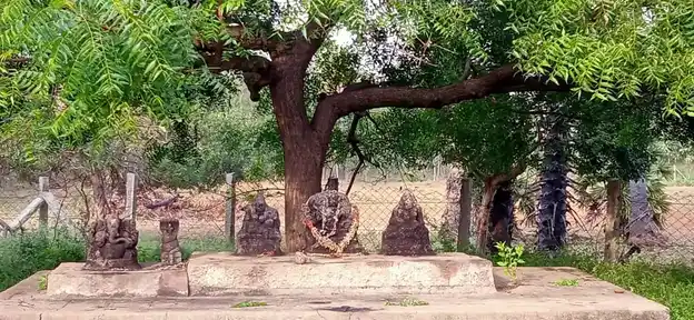 Arulmigu Veera Kurichi Ayyanar Temple, Vaariyanvayal - 630108 அருள்மிகு. வீரக்குறிச்சி அய்யனார் திருக்கோயில், Vaariyanvayal - 630108, Sivagangai - Ancient Temple Architecture and History Image 2