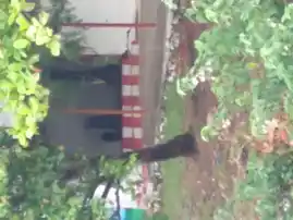 Arulmigu Veera Maadan Theru Temple, -, Veerakeralamputhur - 627806 அருள்மிகு வீரமாடன் திருக்கோயில், -, Veerakeralamputhur - 627806, Tenkasi - Ancient Temple Architecture and History Image 2