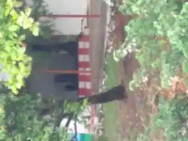 Arulmigu Veera Maadan Theru Temple, -, Veerakeralamputhur - 627806 அருள்மிகு வீரமாடன் திருக்கோயில், -, Veerakeralamputhur - 627806, Tenkasi - Ancient Temple Architecture and History Image 3