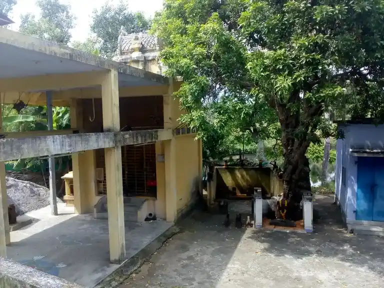 Arulmigu Veera Muppidariamman Temple, Near Periyakulam, Azhagiapandiapuram - 629851 Arulmigu Veera Muppidariamman Temple, Near Periyakulam, Azhagiapandiapuram - 629851, Kanyakumari - Ancient Temple Architecture and History Image 2