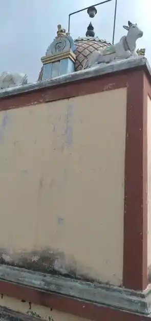 Arulmigu Veera Naagamaal Temple, Kulipatti - 624619 அருள்மிகு வீரநாகம்மாள் திருக்கோயில், Kulipatti - 624619, Dindigul - Ancient Temple Architecture and History Image 5