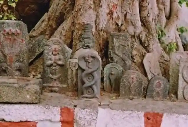 Arulmigu Veera Nagammal Temple, Chituloti - 625703 அருள்மிகு வீர நாகம்மாள் திருக்கோவில், Chituloti - 625703, Madurai - Ancient Temple Architecture and History Image 4