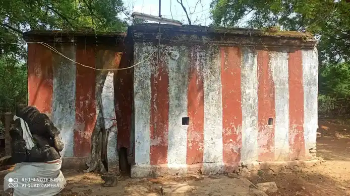 Arulmigu Veera Pandeswar Temple, Muttalangurichi - 628251 அருள்மிகு வீரபாண்டீஸ்வரர் திருக்கோயில், Muttalangurichi - 628251, Thoothukudi - Ancient Temple Architecture and History Image 4