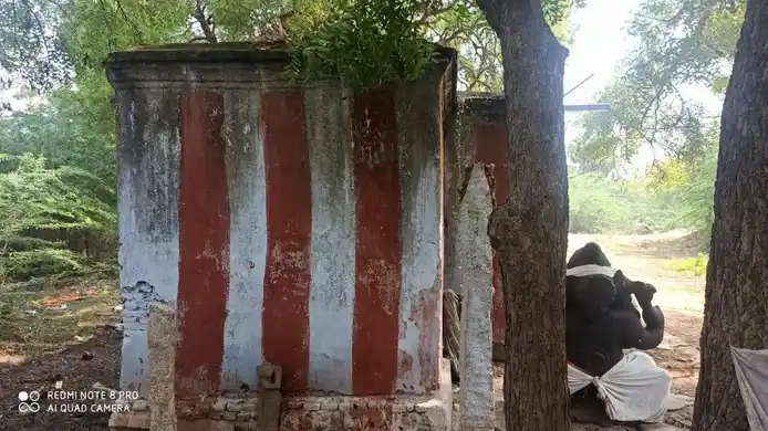 Arulmigu Veera Pandeswar Temple, Muttalangurichi - 628251 அருள்மிகு வீரபாண்டீஸ்வரர் திருக்கோயில், Muttalangurichi - 628251, Thoothukudi - Ancient Temple Architecture and History Image 5