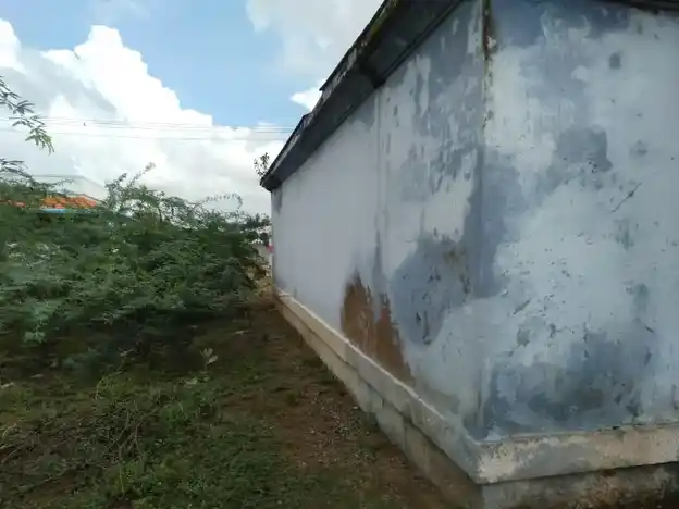 Arulmigu Veera Perumal Iyyan Sastha Temple, Nanguneri, Patterpillai Puthur, Nanguneri - 627108