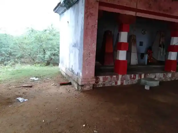 Arulmigu Veera Perumal Iyyan Sastha Temple, Nanguneri, Patterpillai Puthur, Nanguneri - 627108 அருள்மிகு ஸ்ரீ வீரப் பெருமாள் ஐயன் சாஸ்தா திருக்கோயில், Nanguneri, Patterpillai Puthur, Nanguneri - 627108, Tirunelveli - Ancient Temple Architecture and History Image 6