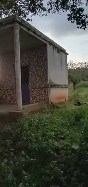 Arulmigu Veerabadraswami Temple, Near Mandi, Denkanikottai - 635116 Temple