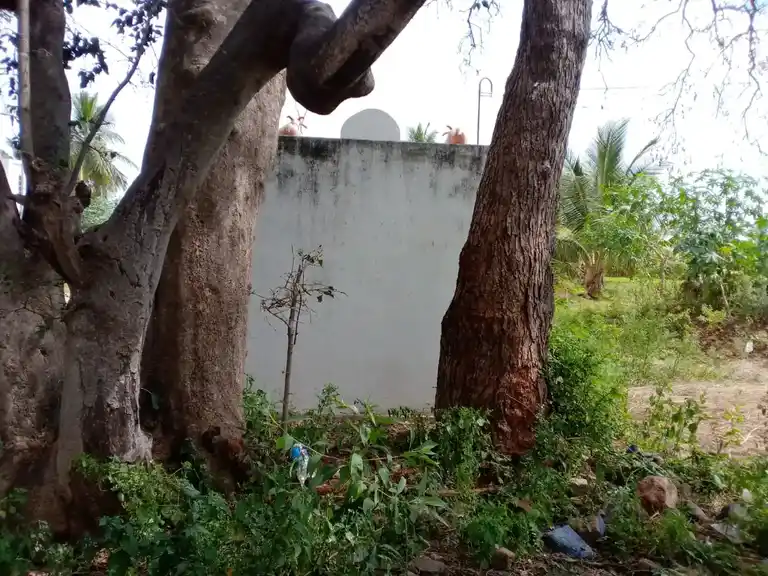 Arulmigu Veerabathiraswamy Temple, Kurumatheru - 635108 Temple