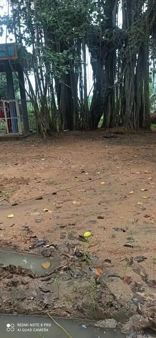 Arulmigu Veerabathraswamy Temple, Ambalakaranpatti - 621303 Arulmigu Veerabathraswamy Temple, Ambalakaranpatti - 621303, Thiruchirappalli - Ancient Temple Architecture and History Image 4