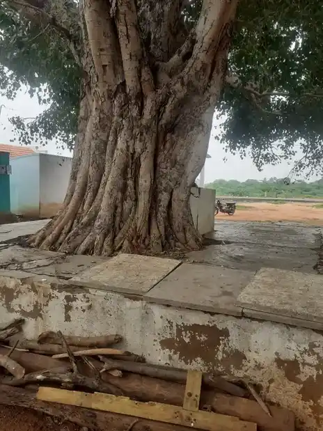 Arulmigu Veeragoundanpatti Vinayagar Temple, Veeragoundanpatti - 624706 அருள்மிகு வீரகவுண்டன்பட்டி விநாயகர் திருக்கோயில், Veeragoundanpatti - 624706, Dindigul - Ancient Temple Architecture and History Image 3
