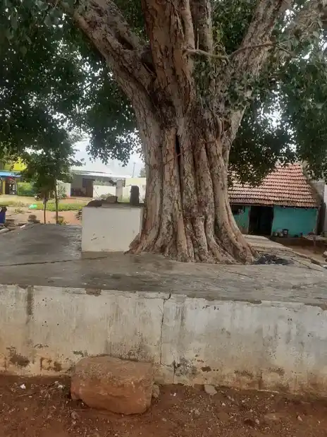 Arulmigu Veeragoundanpatti Vinayagar Temple, Veeragoundanpatti - 624706 அருள்மிகு வீரகவுண்டன்பட்டி விநாயகர் திருக்கோயில், Veeragoundanpatti - 624706, Dindigul - Ancient Temple Architecture and History Image 6